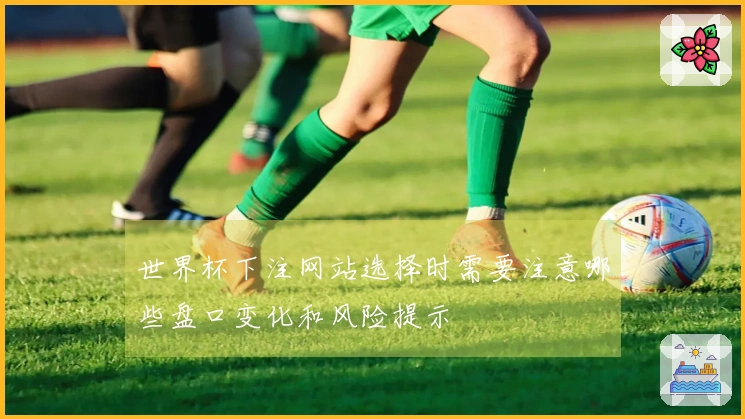 世界杯下注网站选择时需要注意哪些盘口变化和风险提示
