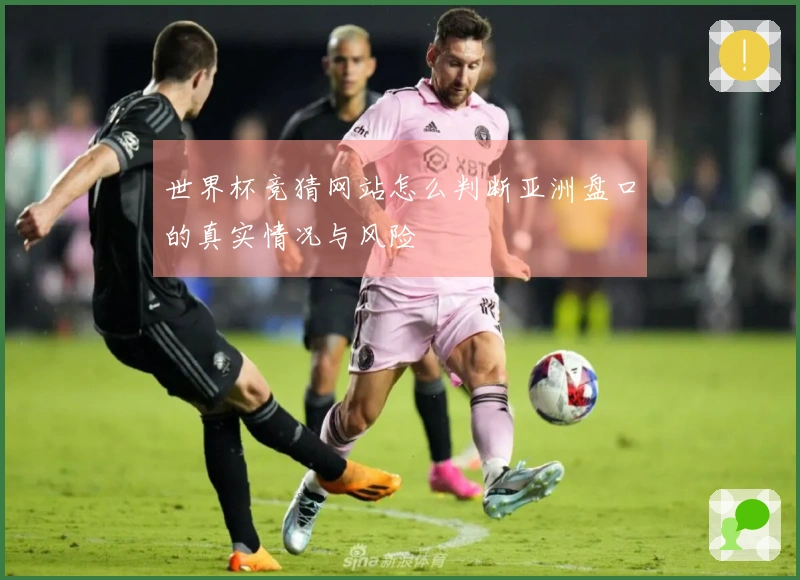 世界杯竞猜网站怎么判断亚洲盘口的真实情况与风险