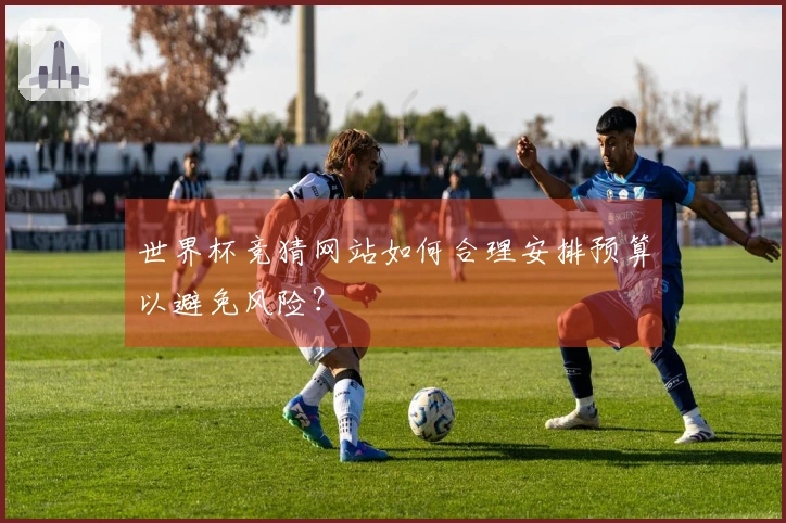 世界杯竞猜网站如何合理安排预算以避免风险？