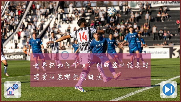 世界杯如何下注？判断盘口信息时需要注意哪些关键点