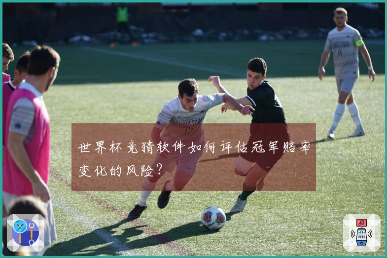 世界杯竞猜软件如何评估冠军赔率变化的风险？