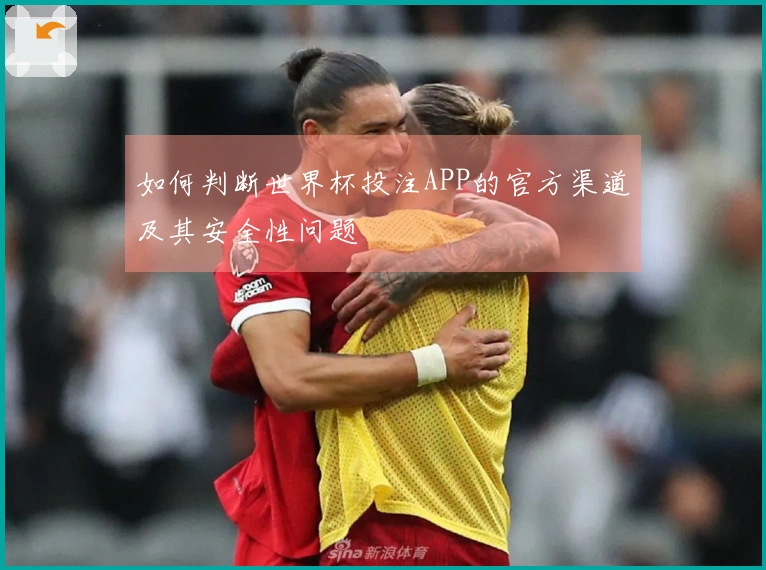 如何判断世界杯投注APP的官方渠道及其安全性问题