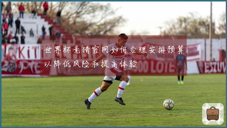 世界杯竞猜官网如何合理安排预算以降低风险和提高体验
