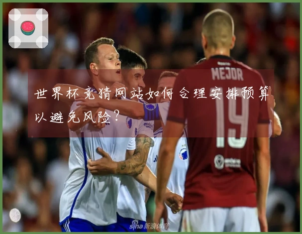 世界杯竞猜网站如何合理安排预算以避免风险？