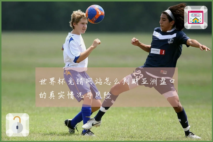 世界杯竞猜网站怎么判断亚洲盘口的真实情况与风险