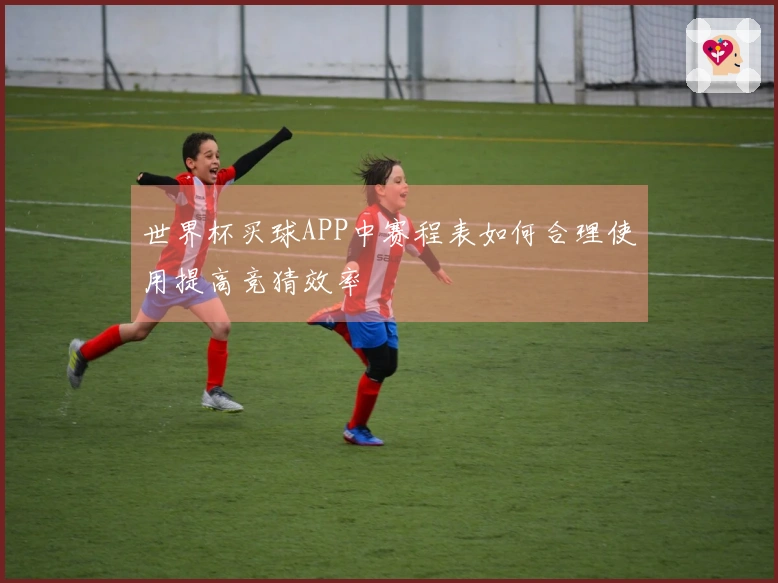 世界杯买球APP中赛程表如何合理使用提高竞猜效率