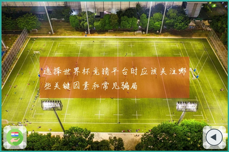 选择世界杯竞猜平台时应该关注哪些关键因素和常见骗局