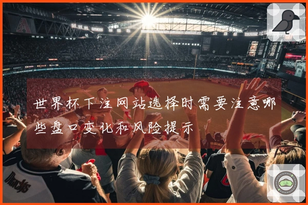 世界杯下注网站选择时需要注意哪些盘口变化和风险提示