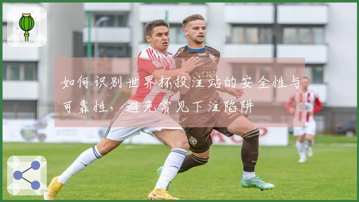 如何识别世界杯投注站的安全性与可靠性，避免常见下注陷阱