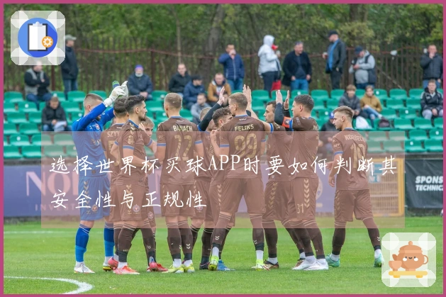 选择世界杯买球APP时要如何判断其安全性与正规性