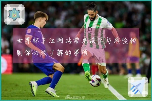 世界杯下注网站常见误区与风险控制你必须了解的事项