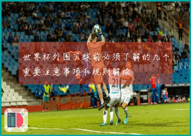 世界杯外围买球前必须了解的几个重要注意事项和规则解读
