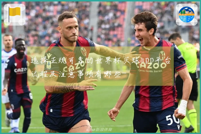 选择正规可靠的世界杯买球app平台流程及注意事项有哪些-