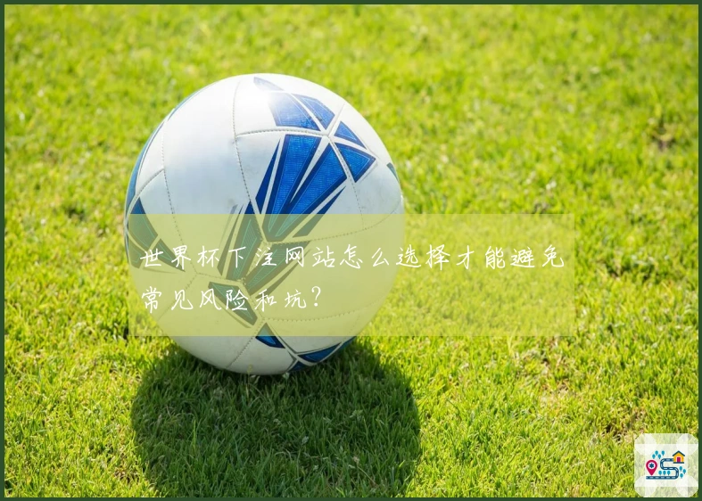 世界杯下注网站怎么选择才能避免常见风险和坑？