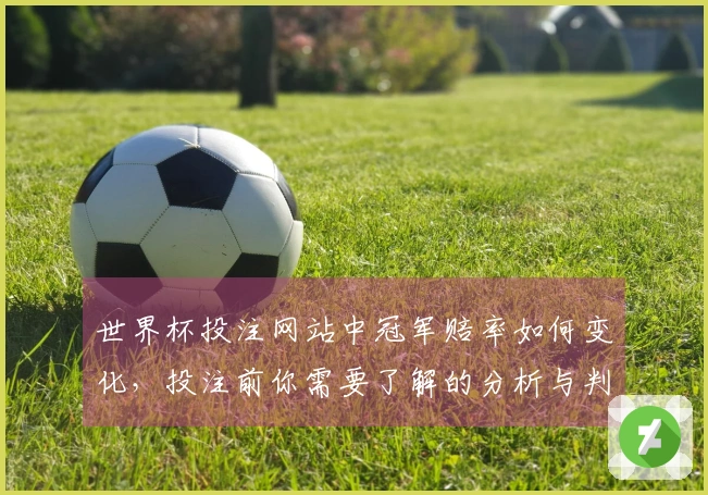 世界杯投注网站中冠军赔率如何变化，投注前你需要了解的分析与判断攻略