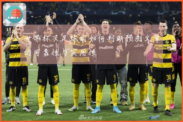 世界杯买足球前如何判断预测文章的可靠性与实用性