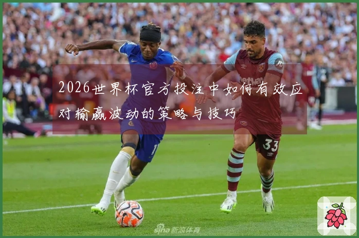 2026世界杯官方投注中如何有效应对输赢波动的策略与技巧