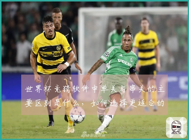 世界杯竞猜软件中单关与串关的主要区别是什么，如何选择更适合的下注方式？
