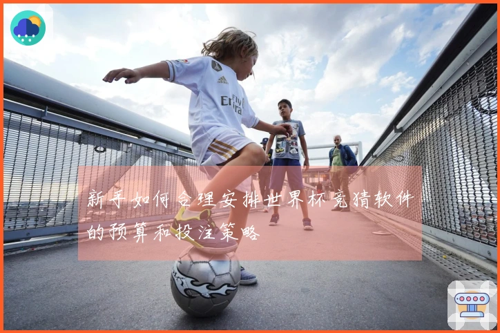 新手如何合理安排世界杯竞猜软件的预算和投注策略