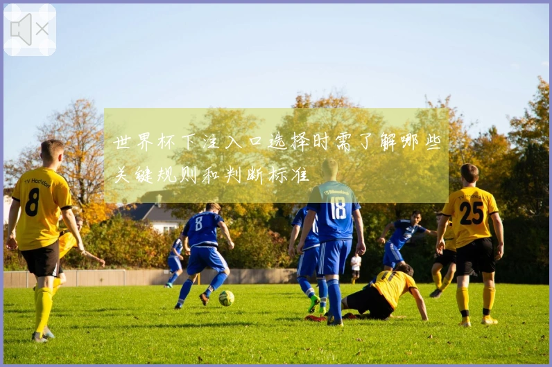 世界杯下注入口选择时需了解哪些关键规则和判断标准
