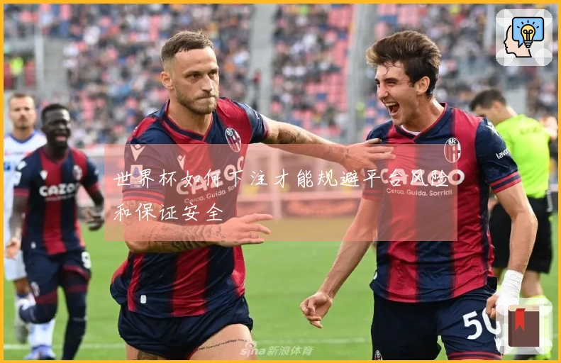 世界杯如何下注才能规避平台风险和保证安全
