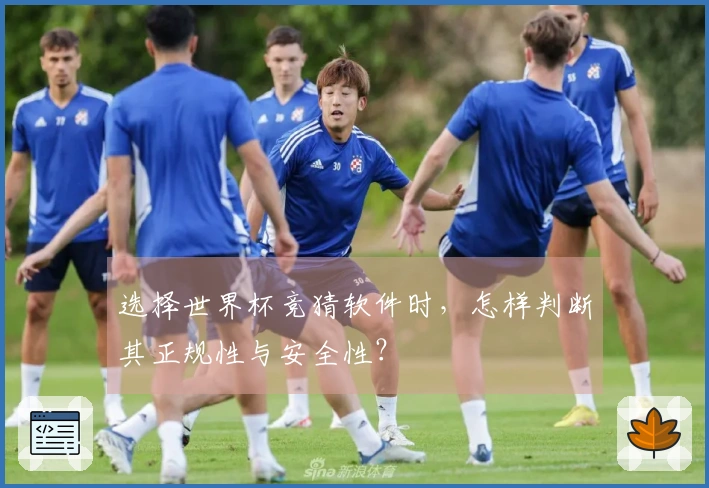 选择世界杯竞猜软件时，怎样判断其正规性与安全性？