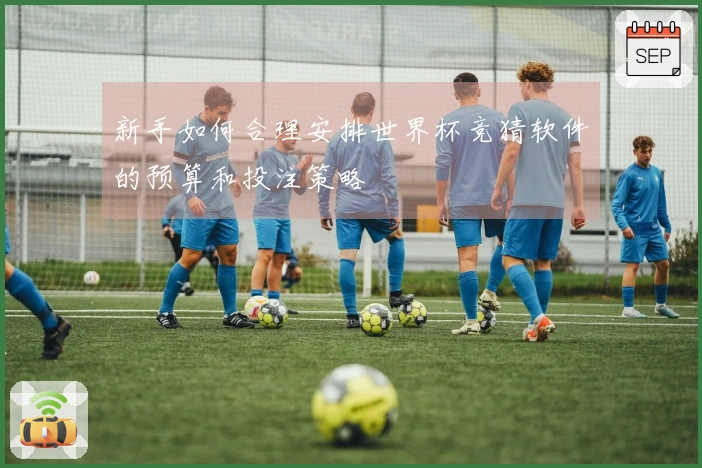 新手如何合理安排世界杯竞猜软件的预算和投注策略