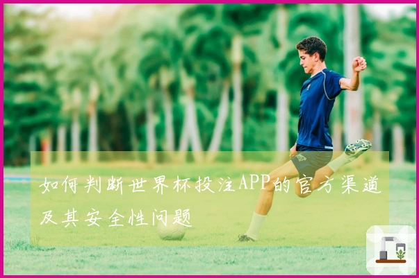 如何判断世界杯投注APP的官方渠道及其安全性问题