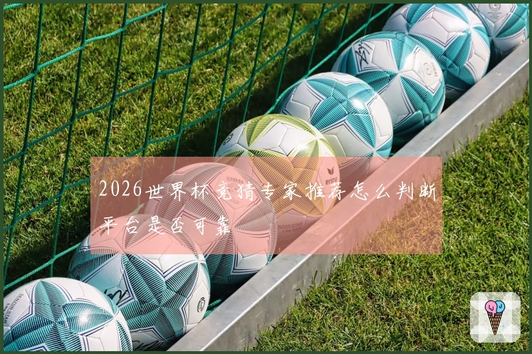 2026世界杯竞猜专家推荐怎么判断平台是否可靠