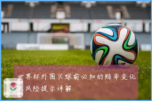 世界杯外围买球前必知的赔率变化及风险提示详解